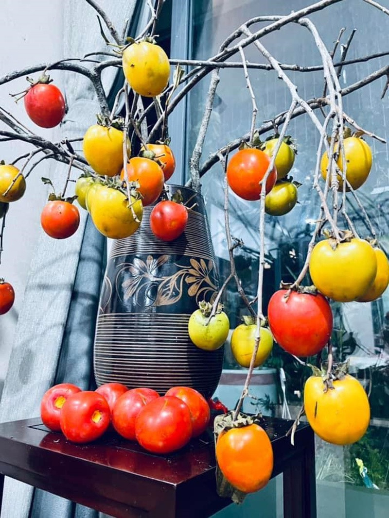 Khu vườn rực rỡ của MC Diễm Quỳnh được chồng cô mát tay chăm sóc- Ảnh 24.