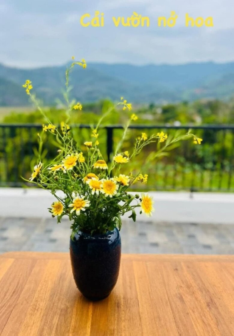 Khu vườn rực rỡ của MC Diễm Quỳnh được chồng cô mát tay chăm sóc- Ảnh 10.