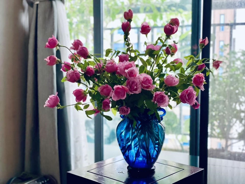 Khu vườn rực rỡ của MC Diễm Quỳnh được chồng cô mát tay chăm sóc- Ảnh 23.