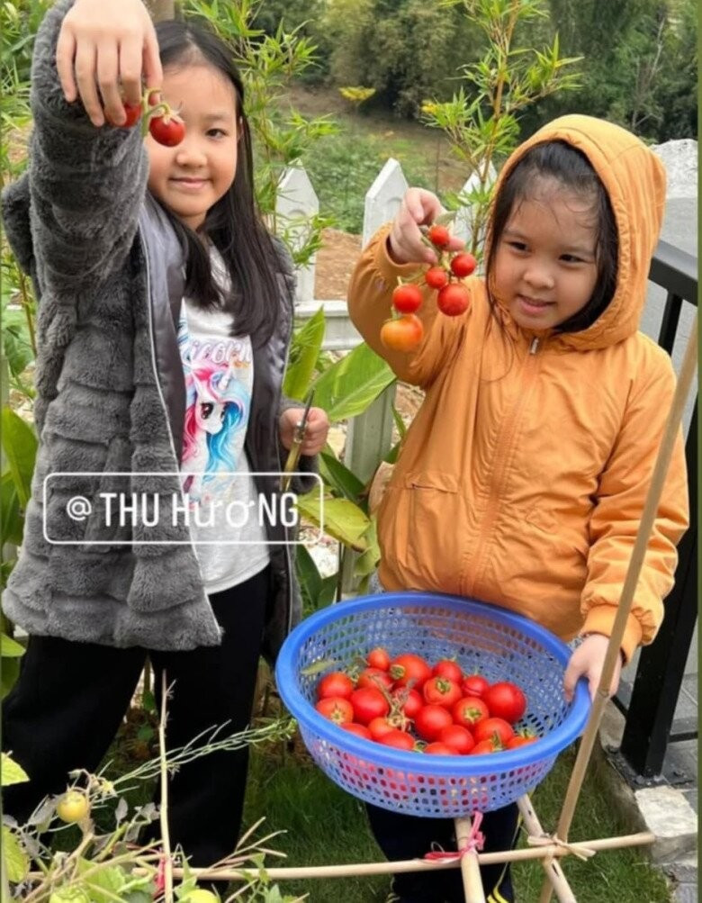 Khu vườn rực rỡ của MC Diễm Quỳnh được chồng cô mát tay chăm sóc- Ảnh 5.