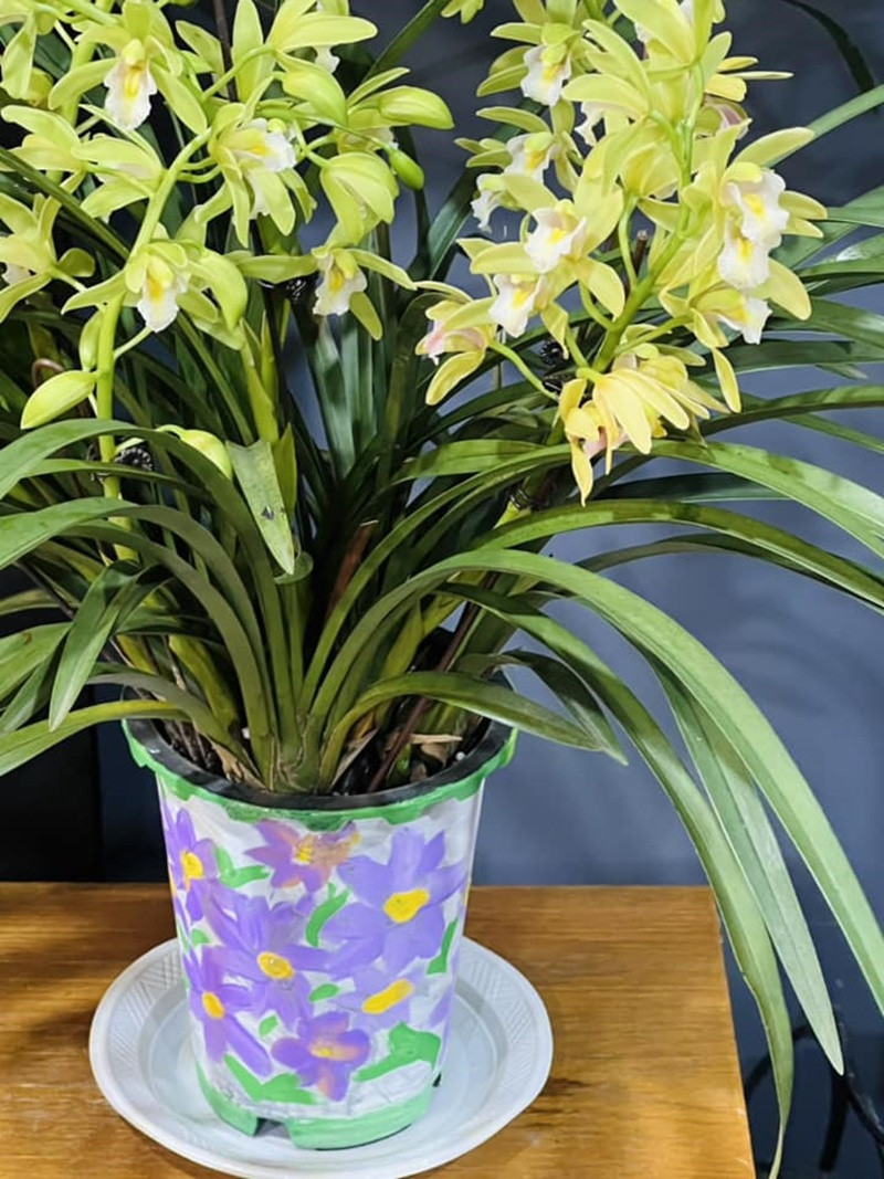 Khu vườn rực rỡ của MC Diễm Quỳnh được chồng cô mát tay chăm sóc- Ảnh 28.