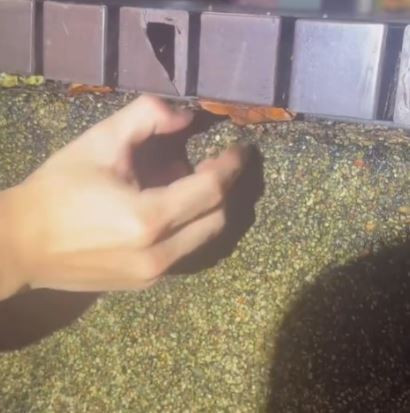 3 thanh niên tìm thấy