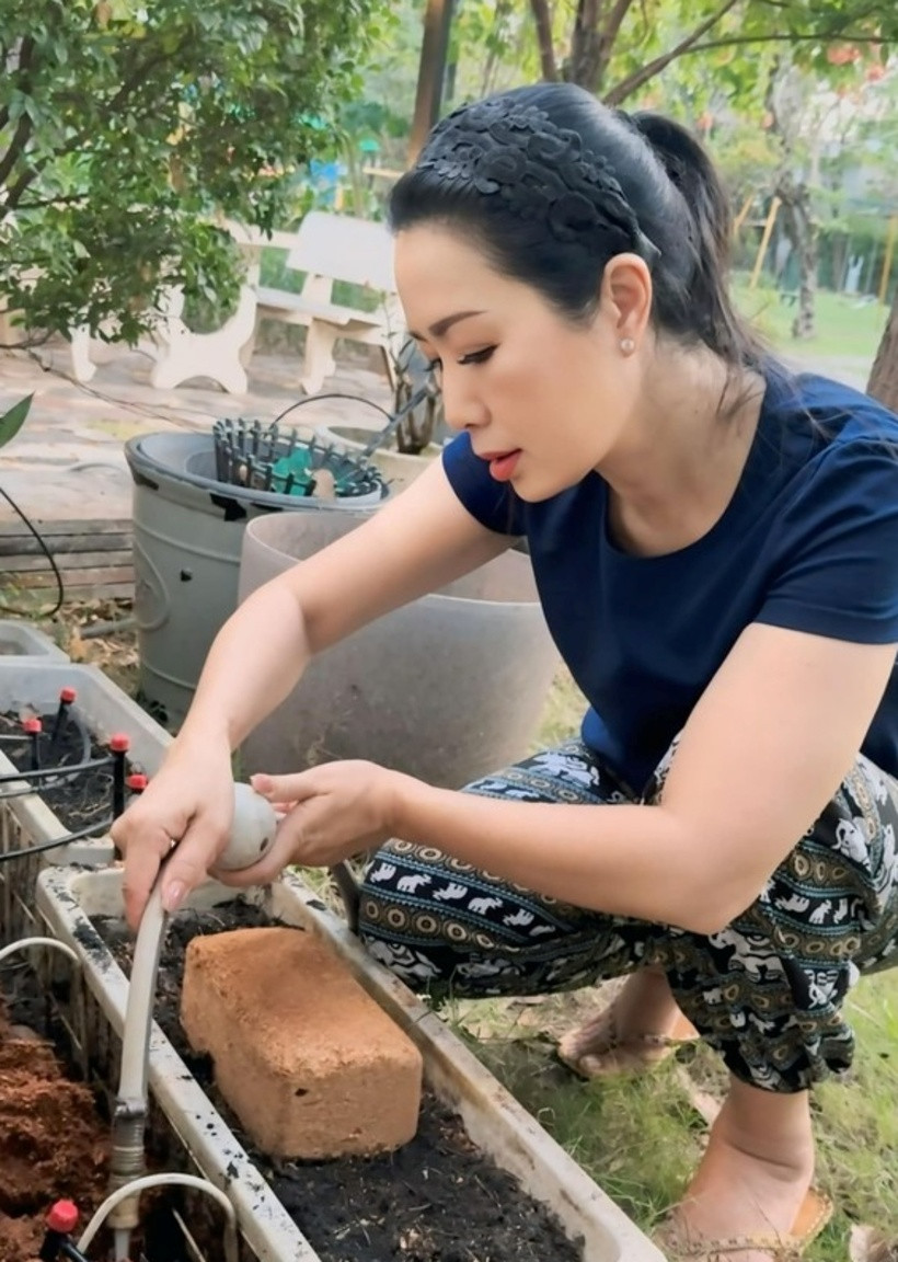 Từ hình ảnh được chia sẻ, có thể thấy khu vườn rất rộng, thoáng đãng, lối đi lát đá xen cỏ xanh tạo cảm giác bình yên.