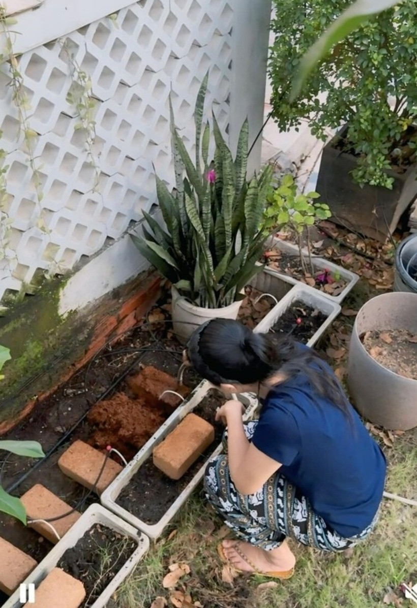 Nhìn hình ảnh cô cúi mình, tỉ mẩn làm đất, nhiều người không khỏi xuýt xoa trước sự tận tụy, khéo léo của nữ nghệ sĩ.