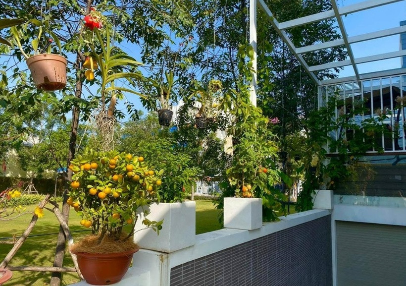 Các bức tường cũng được tận dụng để đặt các loại cây, giúp không gian sống thêm xanh mát hơn và gần gũi với thiên nhiên.