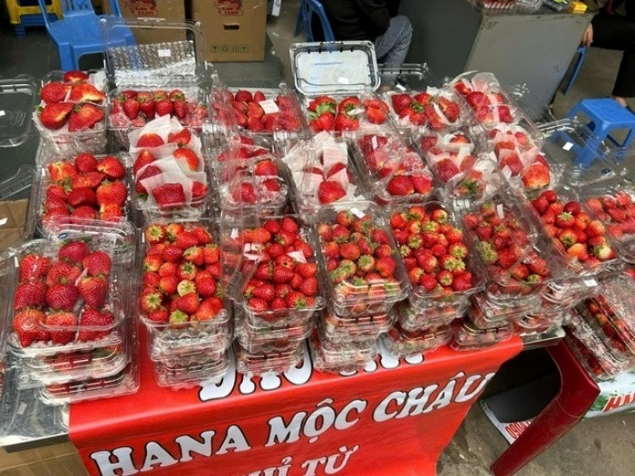 Các hộp dâu được bọc màng chống sốc và kèm gói chống ẩm, nhưng không có nhãn mác hay thông tin nguồn gốc cụ thể. Ảnh: Chuyên trang Gia đình & Xã hội.