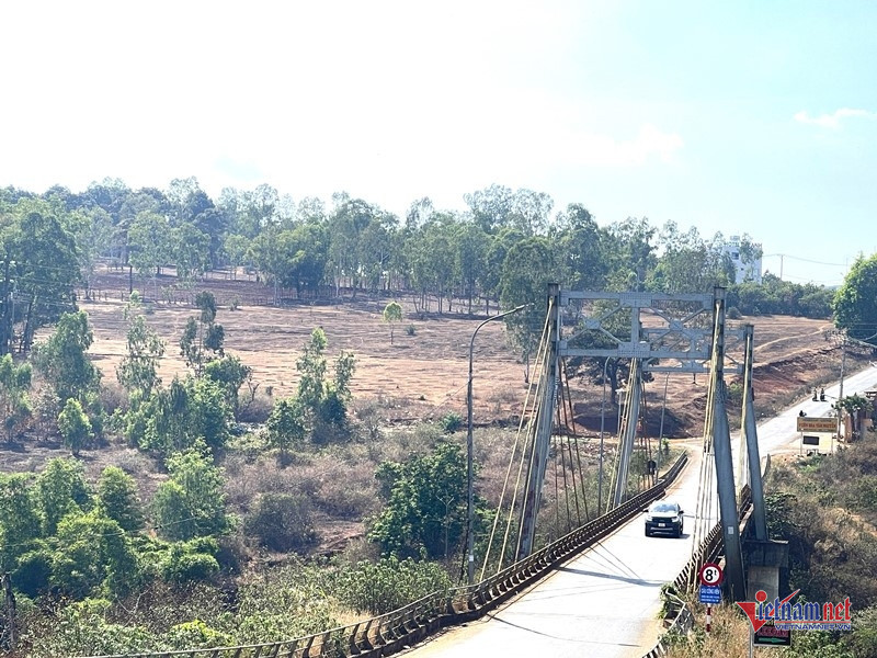 W-Nữ sinh bị  hành hung 1.JPG.jpg