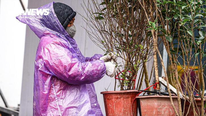 Không khí lạnh đã áp sát biên giới, miền Bắc chuyển rét từ đêm nay. (Ảnh minh hoạ: Đào Đạt)