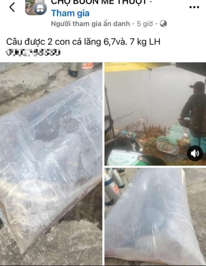 Xôn xao câu chuyện