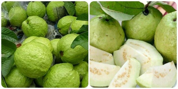 Ổi là loại trái cây tốt cho sức khoẻ