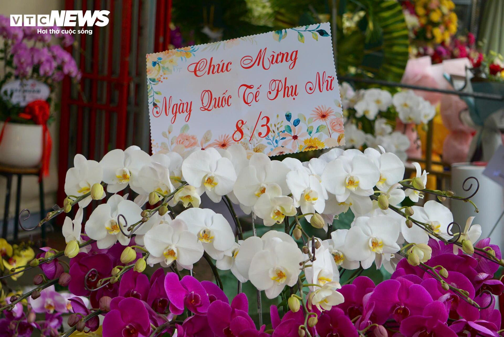 Đông nghịt khách, tiểu thương chợ hoa lớn nhất TP.HCM vẫn than 'ế' hàng - 8