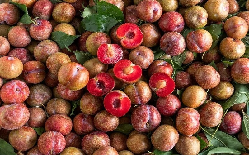 Những người mắc bệnh thận cũng phải tránh ăn mận.