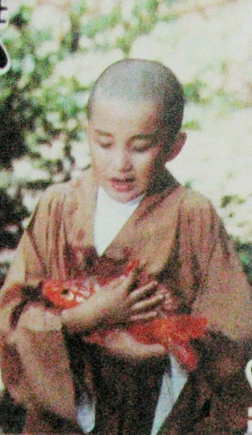 Nam diễn viên tham gia