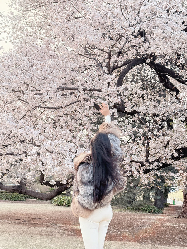 Shark Bình đi ngắm hoa anh đào cùng Phương Oanh, tạo dáng không kém người mẫu - Ảnh 10.