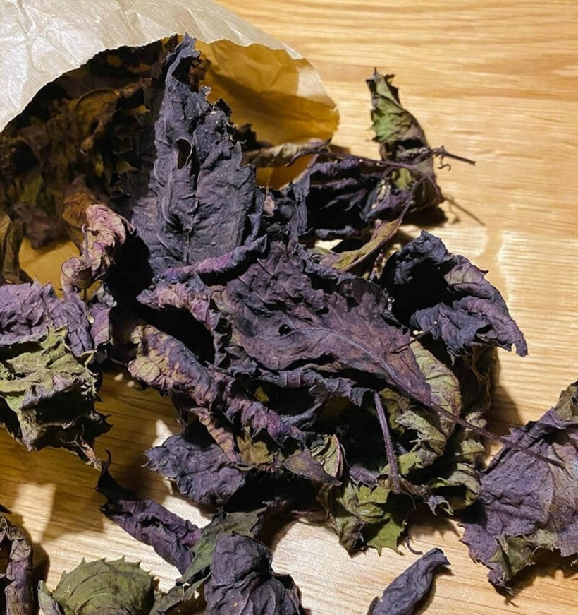 Tía tô cũng có khả năng giảm viêm và đau khớp, giúp cải thiện các triệu chứng của bệnh gout. Ảnh minh họa.