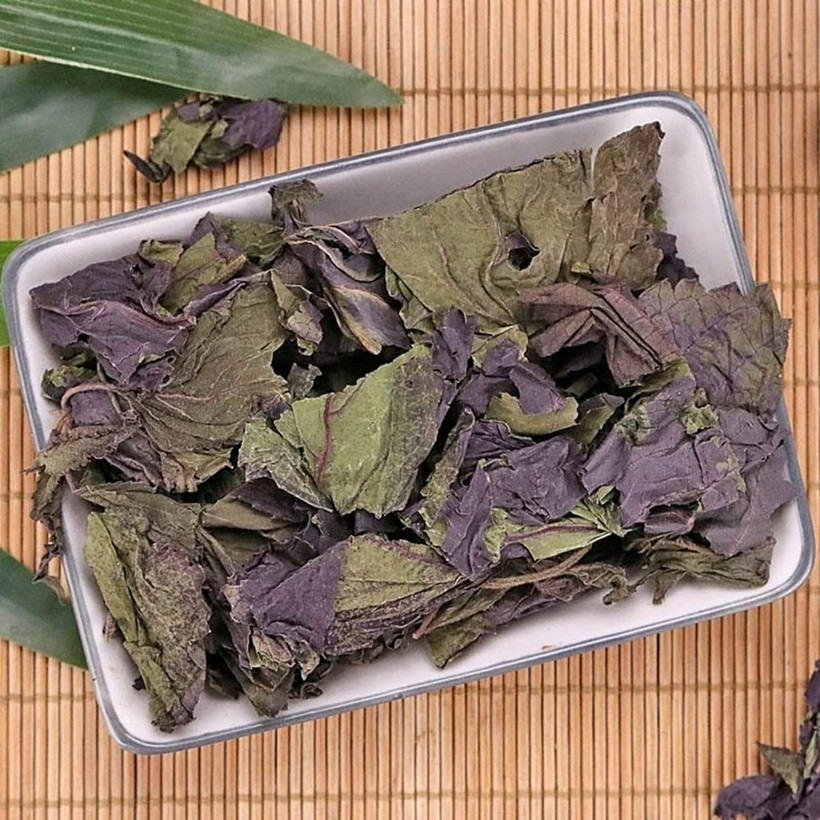 Nghiên cứu cho thấy, người bệnh gan nhiễm mỡ dùng chiết xuất tía tô có men gan giảm đáng kể. Ảnh minh họa.