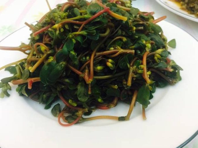 2 loại rau ít 'ngậm' thuốc trừ sâu nhất chợ, thải độc cơ thể, có chất hỗ trợ giảm nguy cơ gây ung thư, mùa này nên ăn nhiều- Ảnh 3.