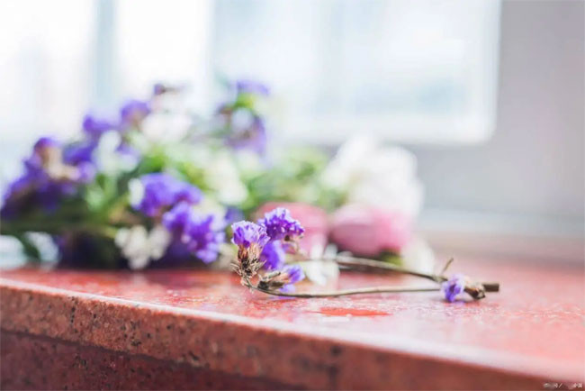 Ba cung hoàng đạo sinh ra đã may mắn càng về già sự nghiệp càng thăng tiến không thiếu tiền bạc