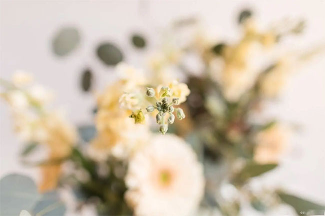 Ba cung hoàng đạo sinh ra đã may mắn càng về già sự nghiệp càng thăng tiến không thiếu tiền bạc