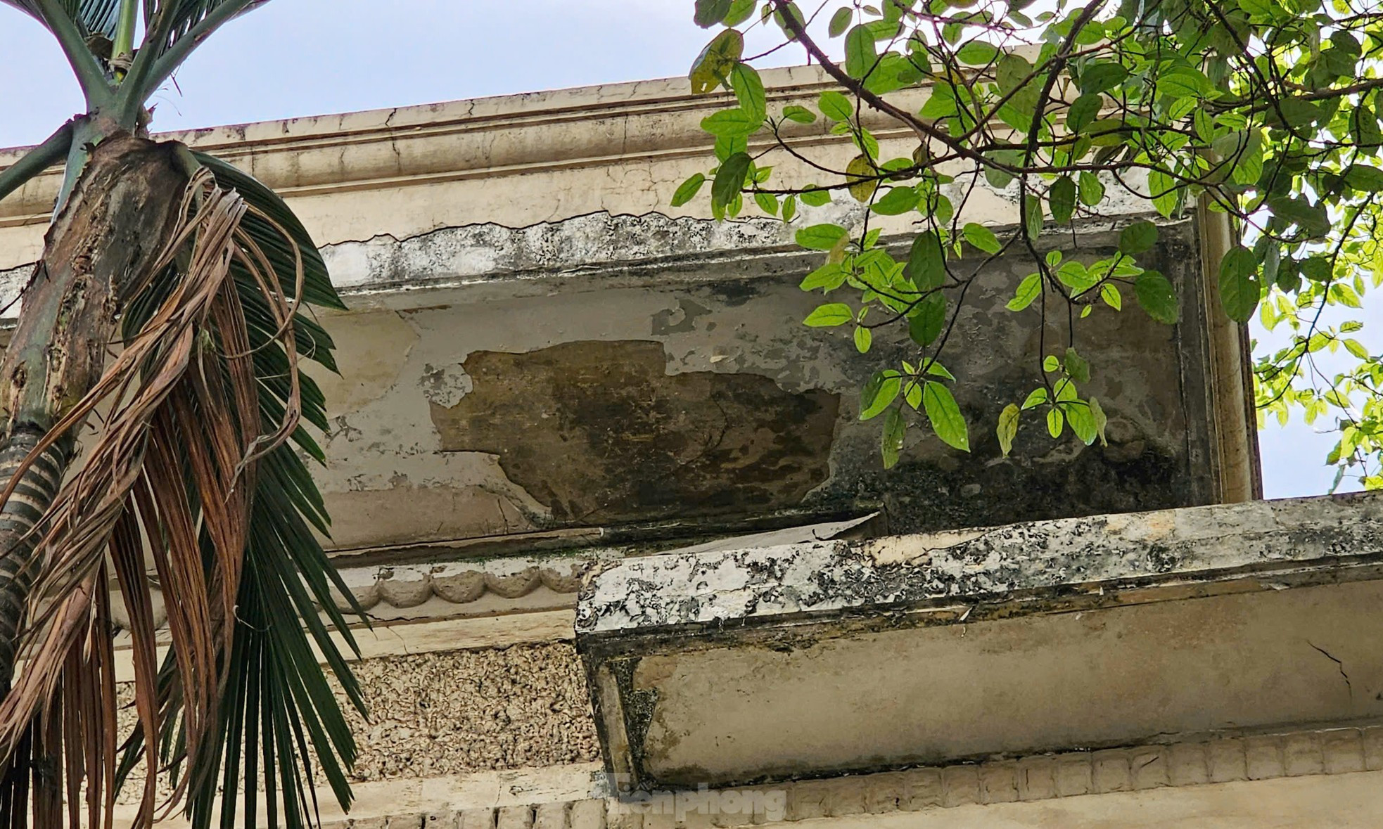 Biệt thự bỏ hoang từng của nguyên Chủ tịch Hà Nội được sử dụng làm trụ sở cơ quan ảnh 10