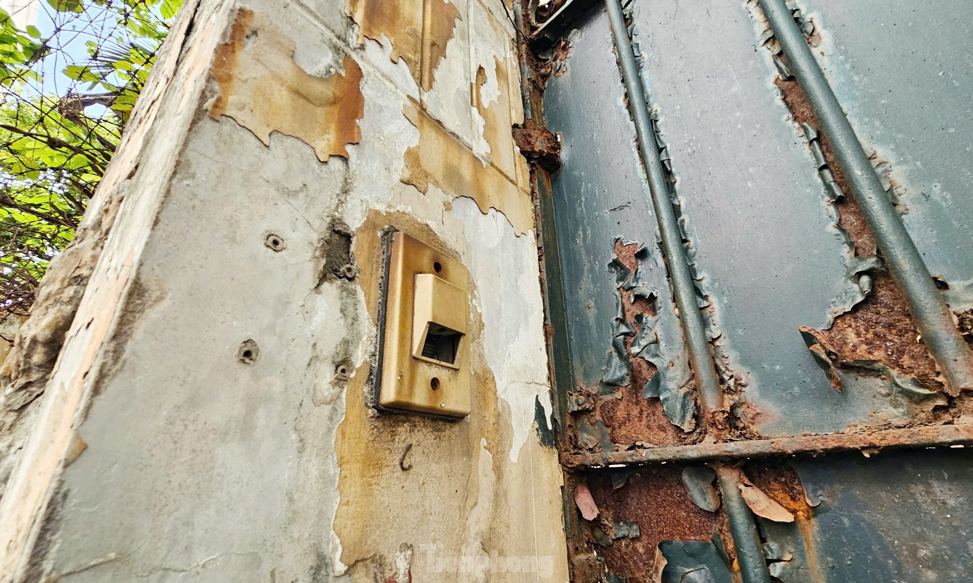 Biệt thự bỏ hoang từng của nguyên Chủ tịch Hà Nội được sử dụng làm trụ sở cơ quan ảnh 8