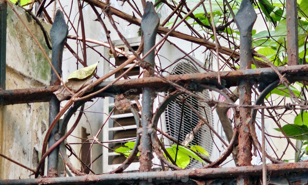 Biệt thự bỏ hoang từng của nguyên Chủ tịch Hà Nội được sử dụng làm trụ sở cơ quan ảnh 9