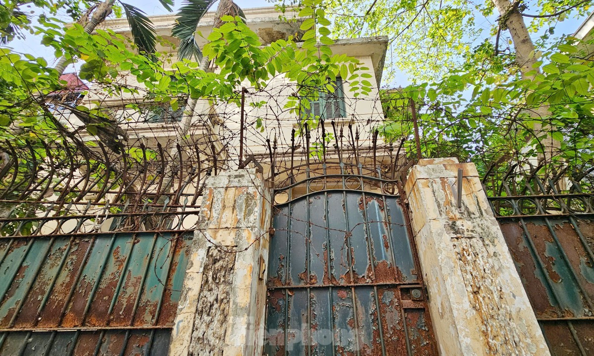Biệt thự bỏ hoang từng của nguyên Chủ tịch Hà Nội được sử dụng làm trụ sở cơ quan ảnh 5