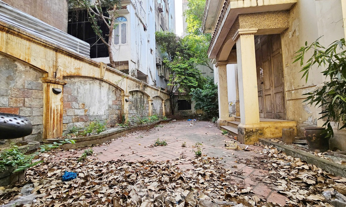 Biệt thự bỏ hoang từng của nguyên Chủ tịch Hà Nội được sử dụng làm trụ sở cơ quan ảnh 12