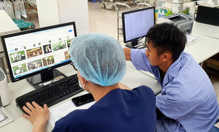 Bác sĩ Trung tâm Chống độc cùng người nhà bệnh nhân tìm hiểu về loại nấm đã ăn. (Ảnh: Nguyên Hà)