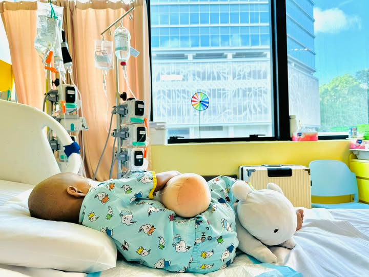 489149512644301641828890803727 17449450416611020566830 1744945976112 17449459762191271597641 1744951485914967589006