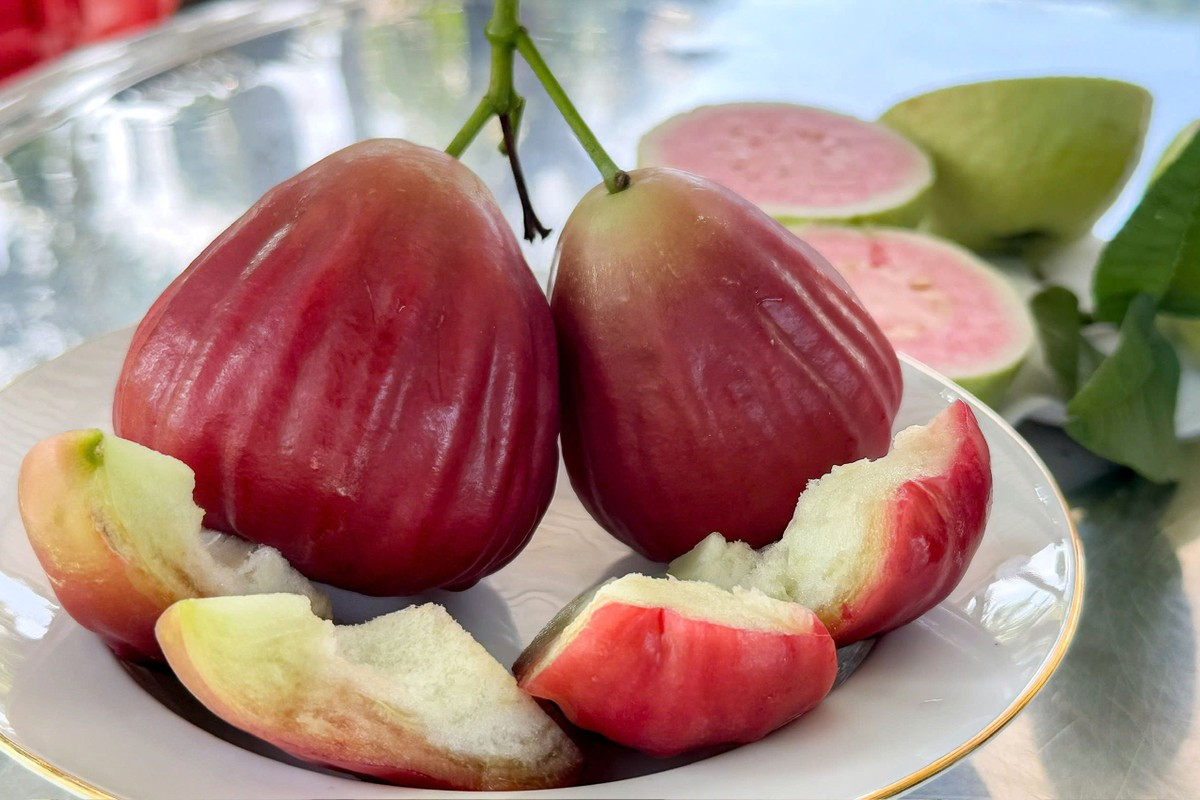 Trái mận 'lạ' giá cao đang gây sốt ảnh 4