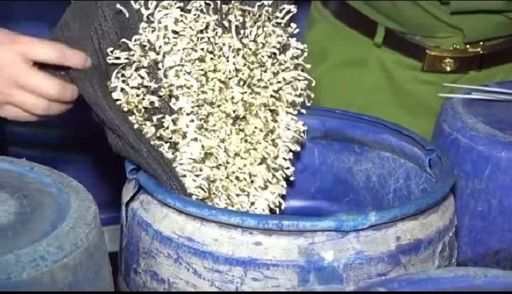 Cận cảnh bên trong xưởng sản xuất 3.500 tấn giá đỗ ngâm hóa chất độc hại- Ảnh 4.