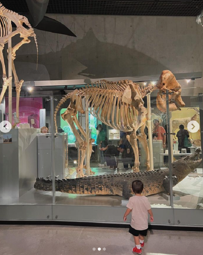 t2 16934605741881578800114 16934607696.png