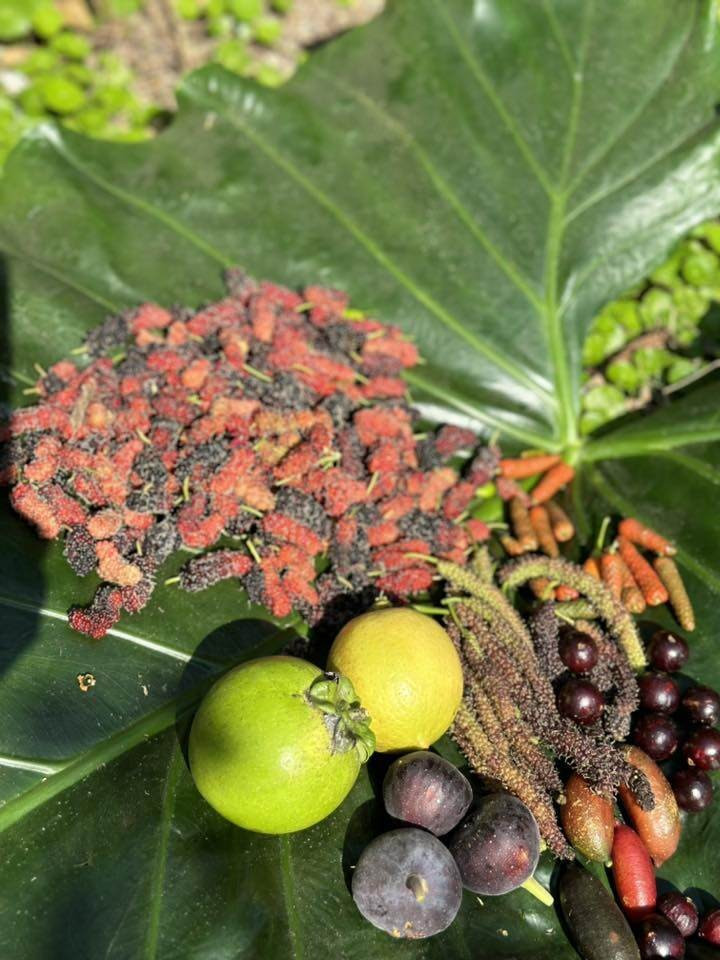 Ca sĩ Mỹ Lệ ở tuổi 53, sau nhiều năm rút khỏi showbiz: Đại gia 'làm nông' trên mảnh vườn hơn 10.000m2 'cái gì cũng có'- Ảnh 4.