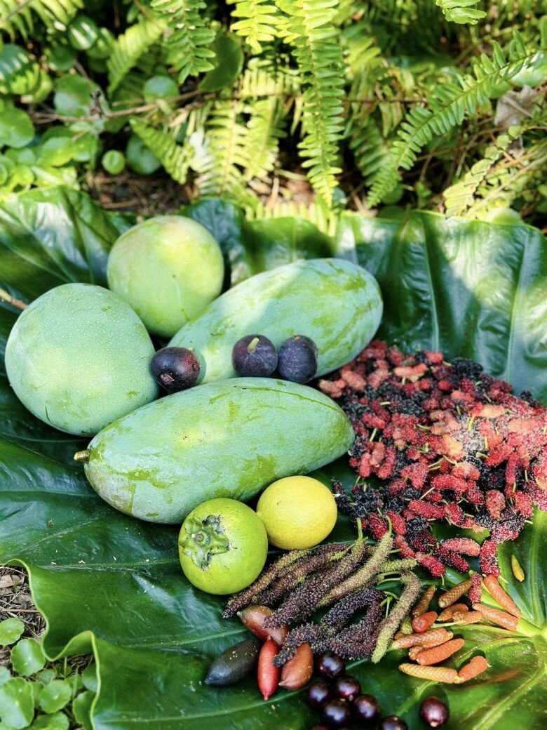 Ca sĩ Mỹ Lệ ở tuổi 53, sau nhiều năm rút khỏi showbiz: Đại gia 'làm nông' trên mảnh vườn hơn 10.000m2 'cái gì cũng có'- Ảnh 3.