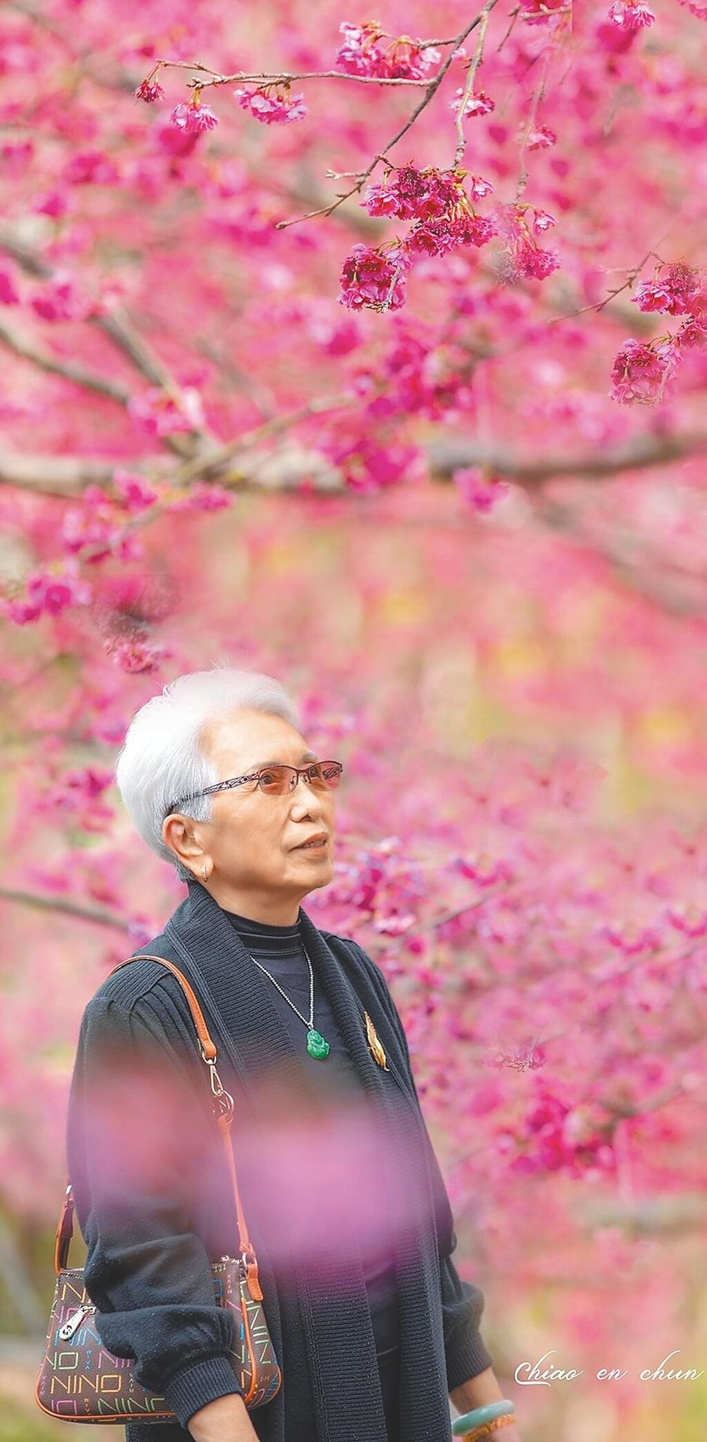 Tuổi 57 của 'Triển Chiêu' Tiêu Ân Tuấn ảnh 5