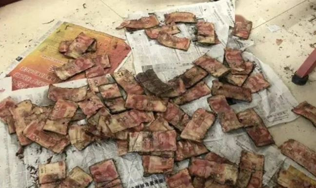 Cụ ông chôn 700 triệu đồng tiền mặt dưới đất, khi con cháu phát hiện ra thì