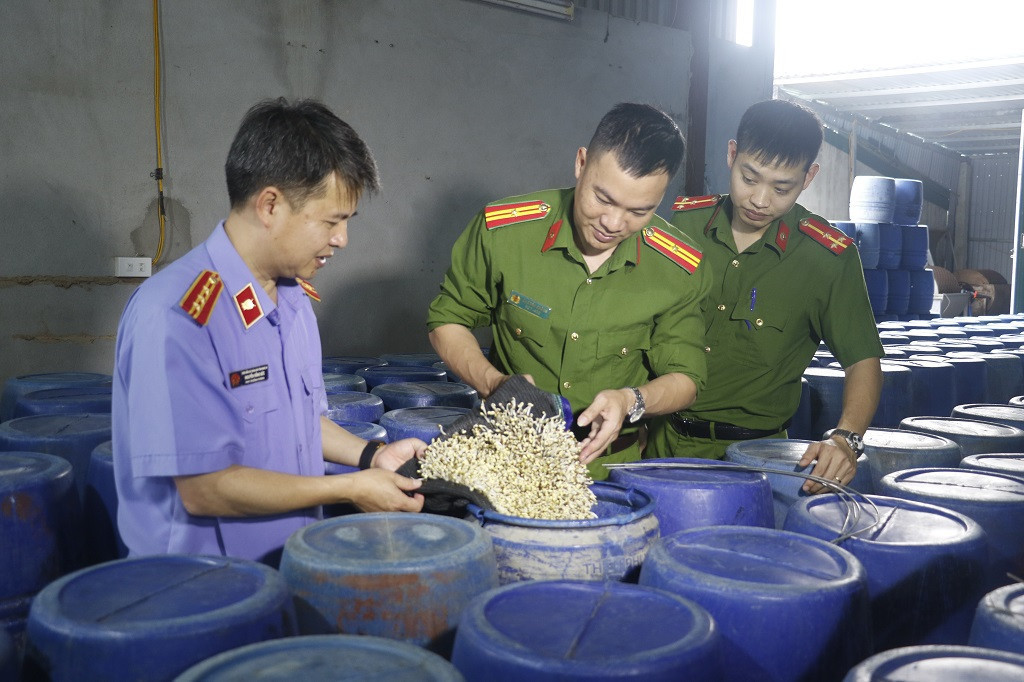 giá đỗ