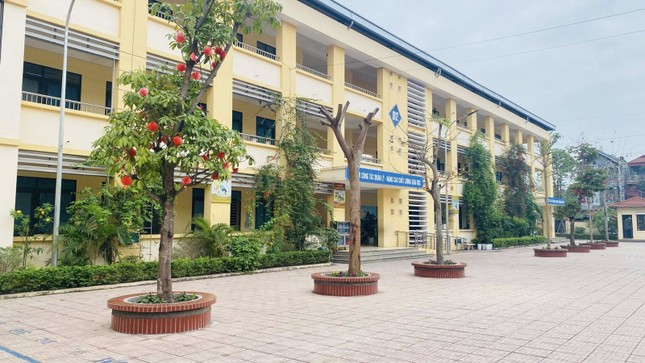 Thanh tra kết luận vụ giáo viên tiểu học bị tố 'gạ tình' nữ đồng nghiệp, đánh bảo vệ ảnh 1
