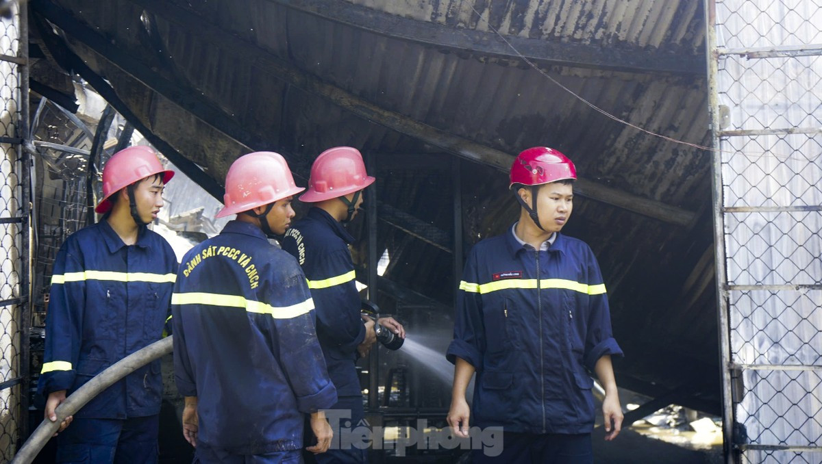 Cháy dữ dội tại biệt thự nhà vườn ở Quy Nhơn, gần 100 người dập lửa ảnh 5