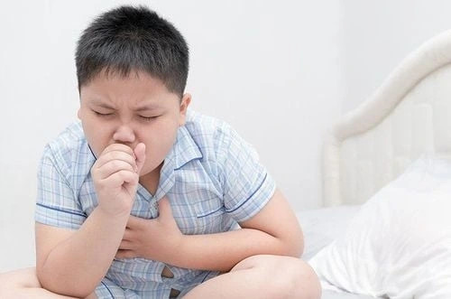 mot benh nhi tai cao bang tu vong nghi mac ho ga hinh anh 1