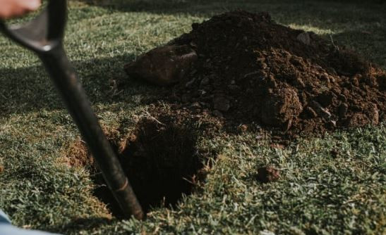 Người đàn ông chôn tờ vé số độc đắc 26 tỷ đồng trong vườn, lý do gây bất ngờ- Ảnh 1.