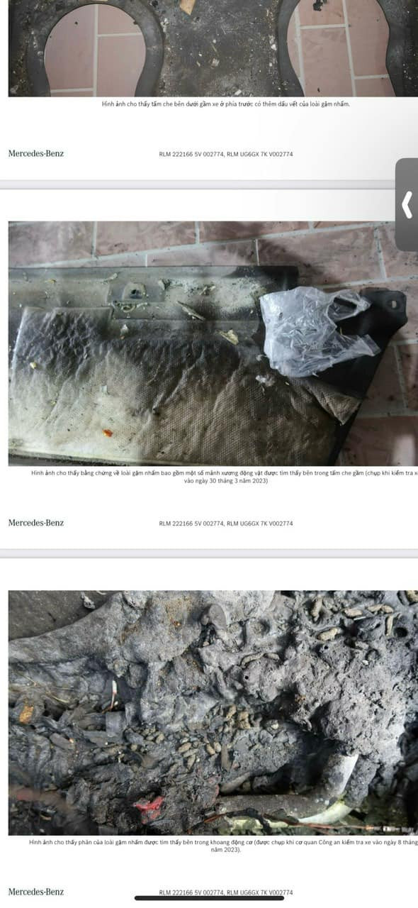 492336673657418407076023772625355421166502n 1745423558534997193754 1745460688142 1745460688303912694200