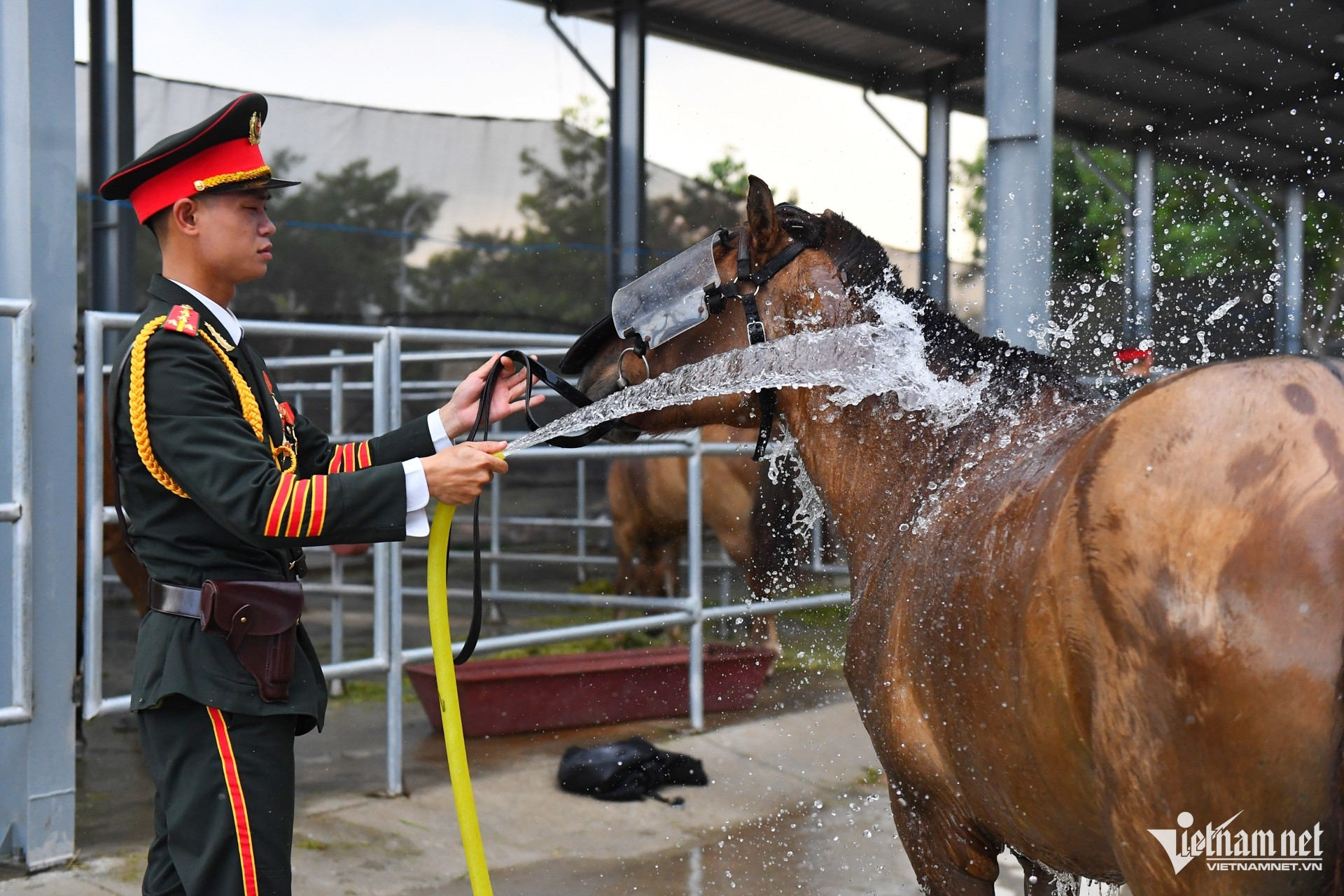 W-dieu binh 30 4 37.jpg