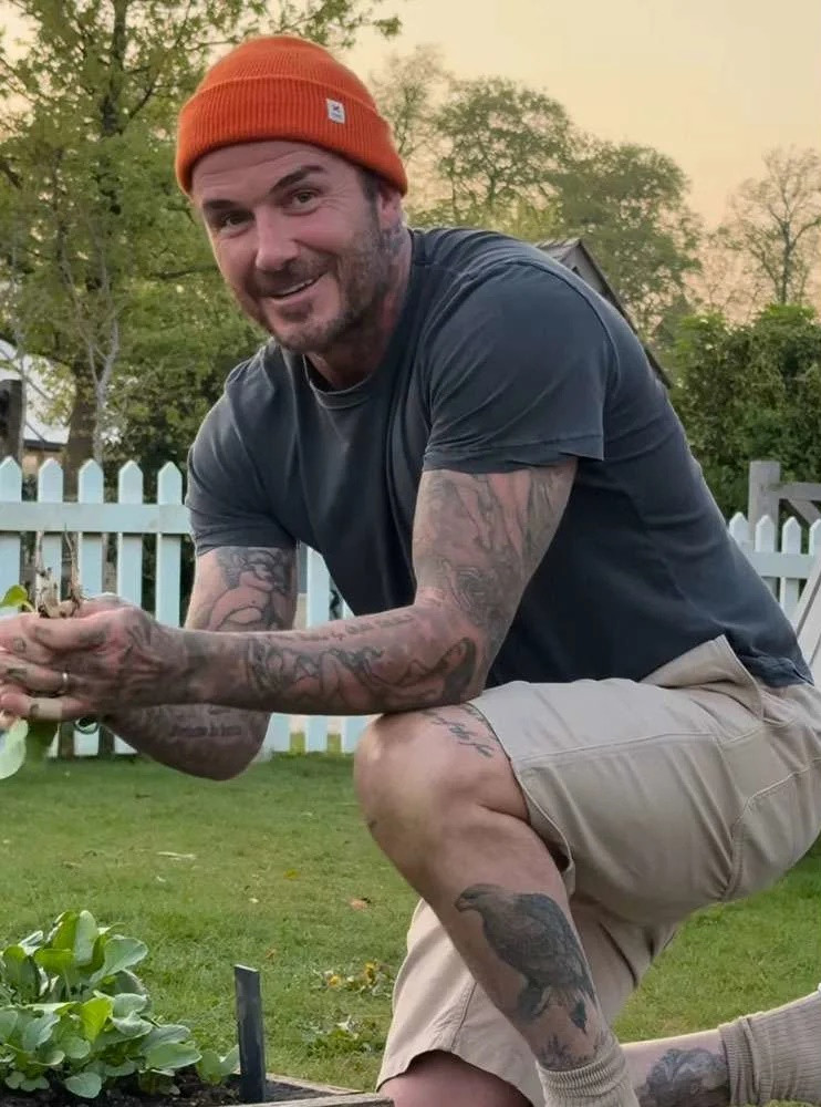 David Beckham làm vườn bị vợ trêu chọ. (Ảnh: David Beckham/Instagram)