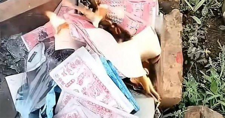 Ba con gái của ông Vương Mâu Sơn bị thiết bị nổ giết chết khi đốt tiền giấy ở mộ cha.