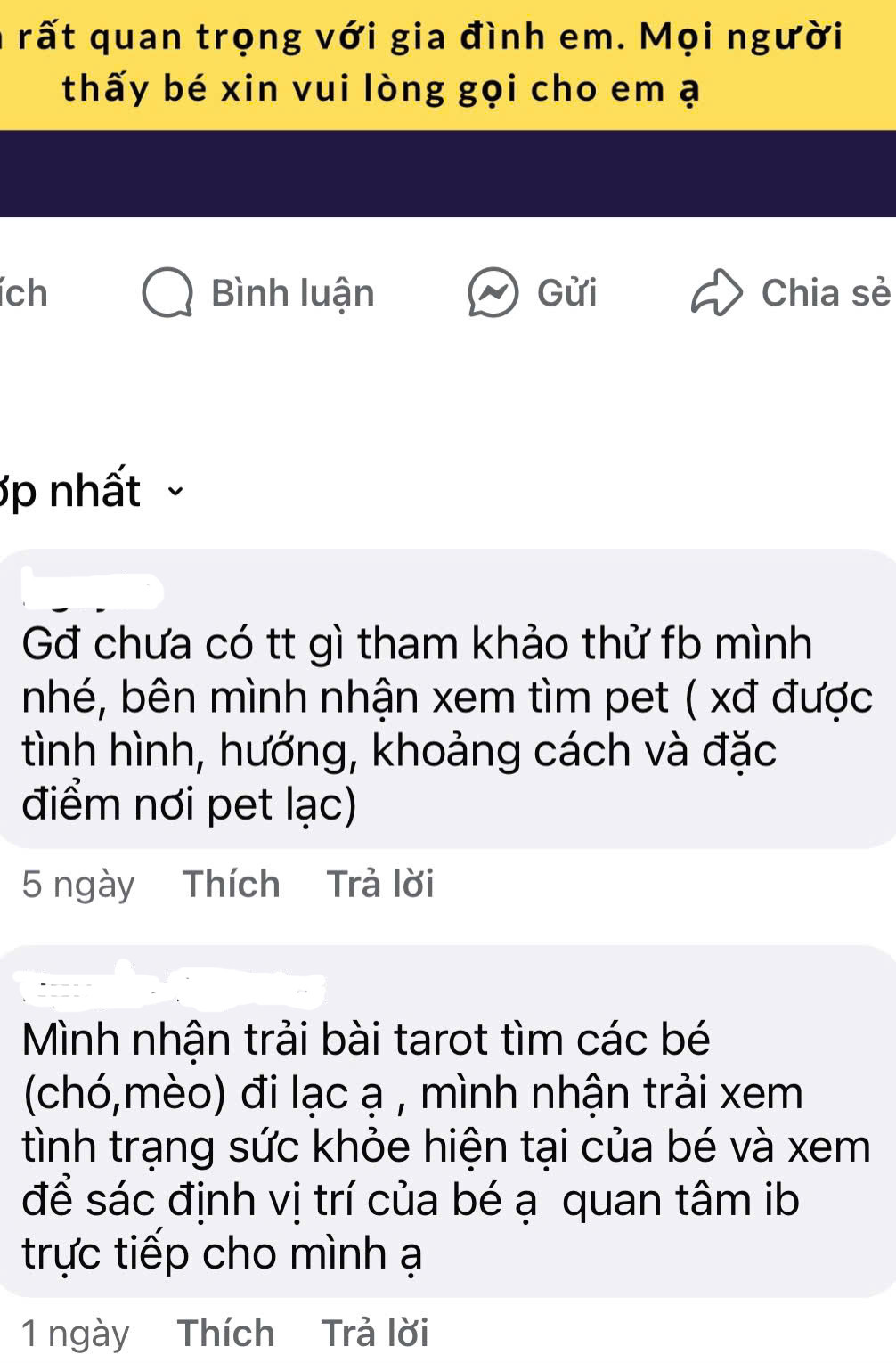 Cảnh giác với chiêu trò lừa đảo qua mua bán máy ảnh, cứu hộ chó mèo lạc- Ảnh 4.