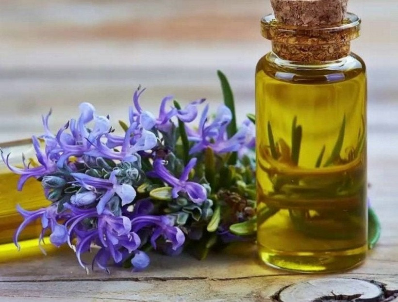 Loại tinh dầu này đã được biết tới với tác dụng giảm đau, xua đuổi côn trùng, giảm căng thẳng thần kinh, tốt cho gan và hệ tiêu hóa. Ảnh minh họa.