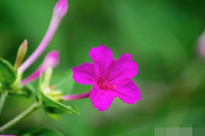 Tử vi quý 22025 4 cung hoàng đạo đón lộc lớn tiền vào đầy ví