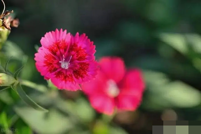 Tử vi quý 22025 4 cung hoàng đạo đón lộc lớn tiền vào đầy ví